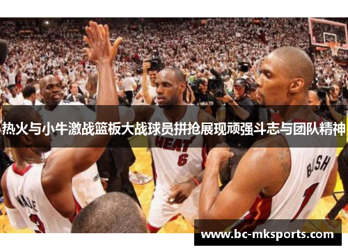 热火与小牛激战篮板大战球员拼抢展现顽强斗志与团队精神